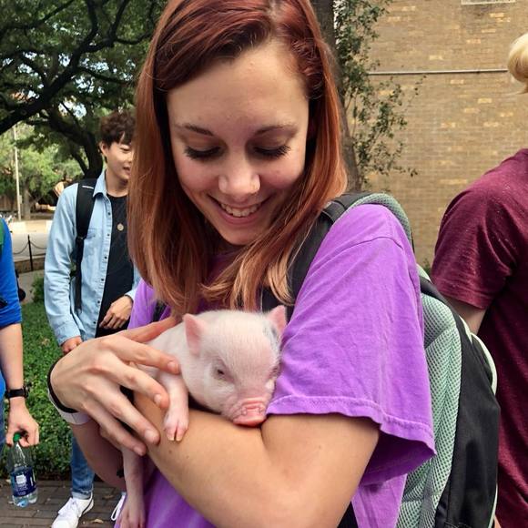 Meet your Posher, Sarah - Picture 1 of 1